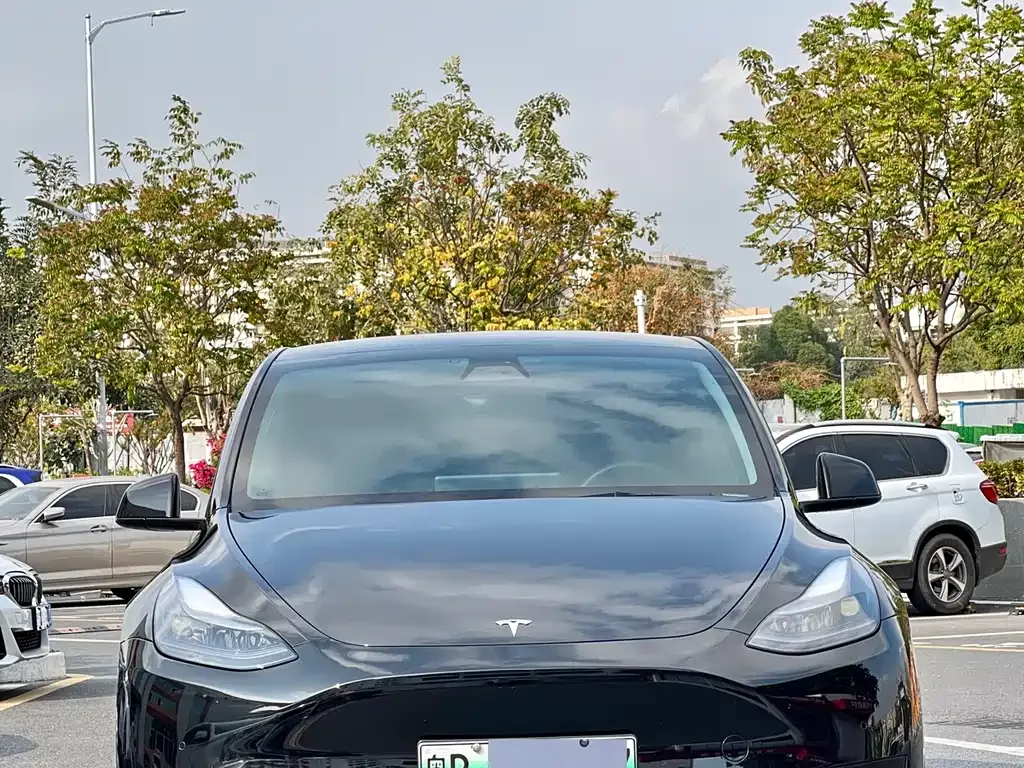 Tesla Model Y — фото 10