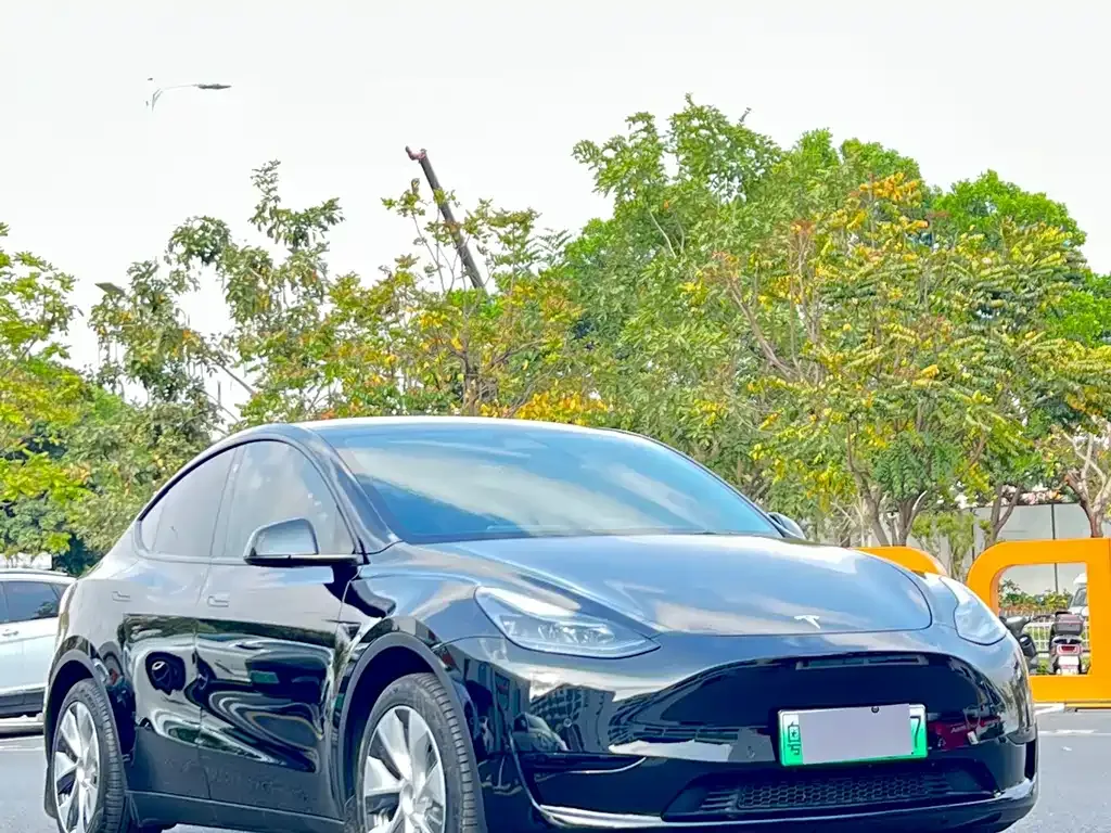 Tesla Model Y — фото 7