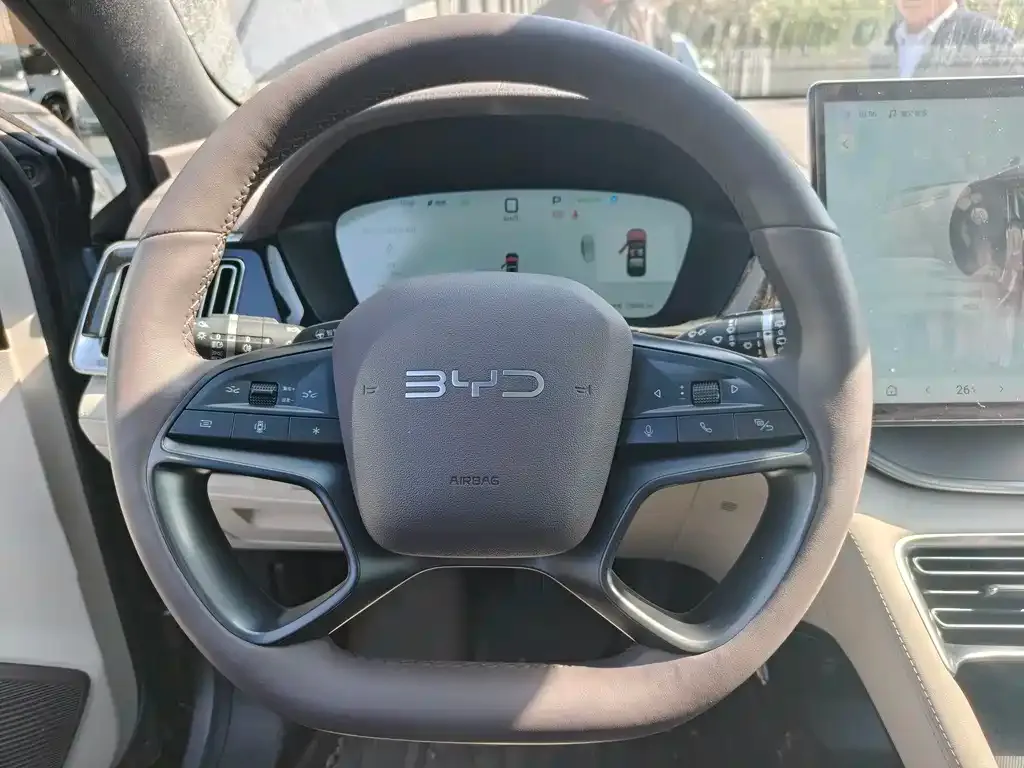 BYD PLUS New Energy — фото 7