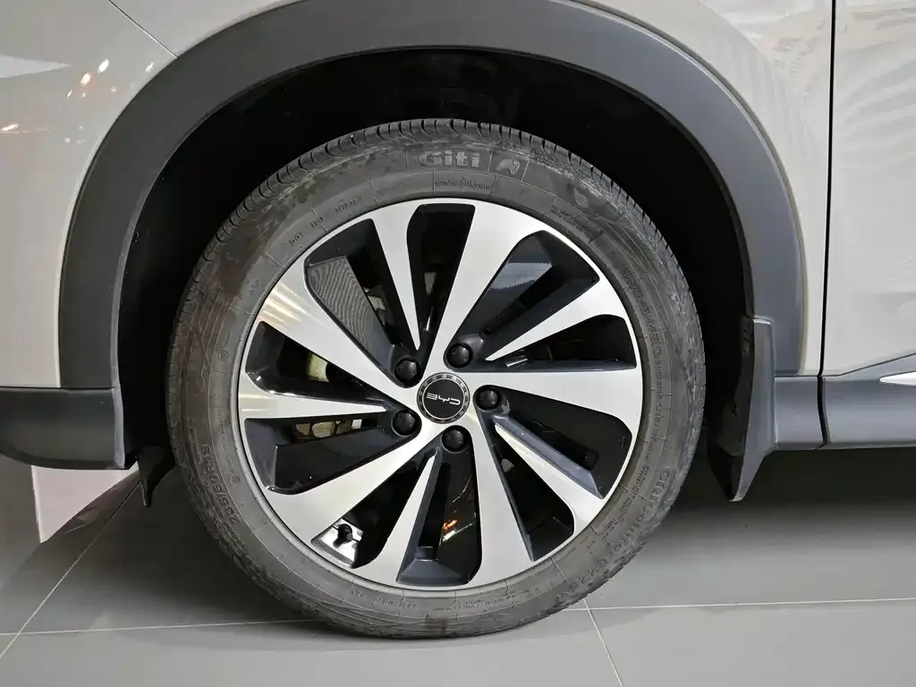 BYD PLUS New Energy — фото 10