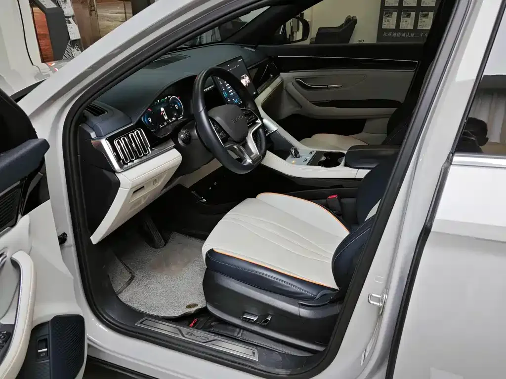 BYD PLUS New Energy — фото 4