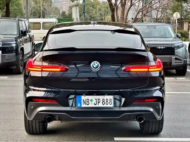 BMW X4 2021 из CN, фото 5
