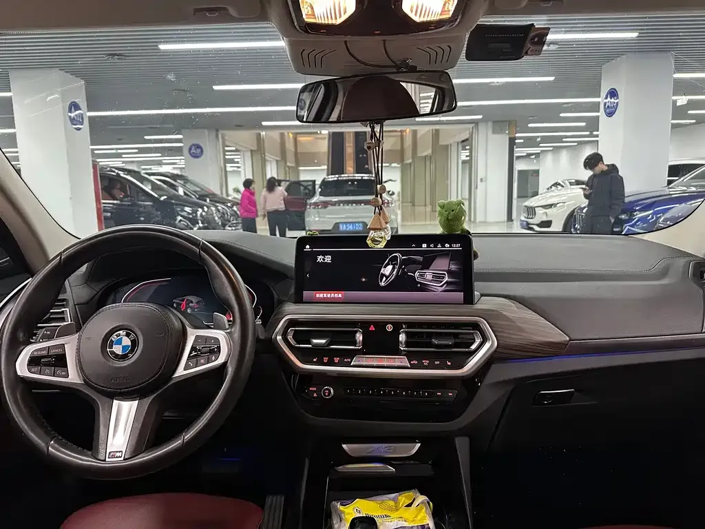 BMW X3 2022 из CN, фото 9