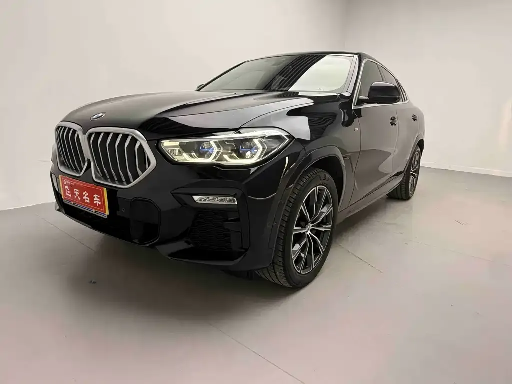 BMW X6 2021 из CN, фото 2