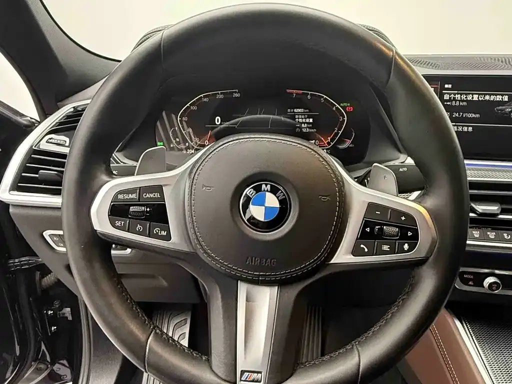 BMW X6 2021 из CN, фото 6