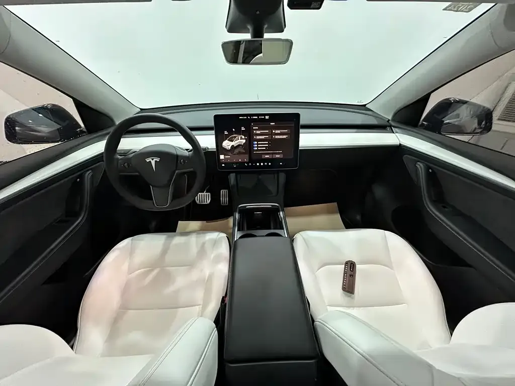 Tesla Model Y 2022 из CN, фото 8