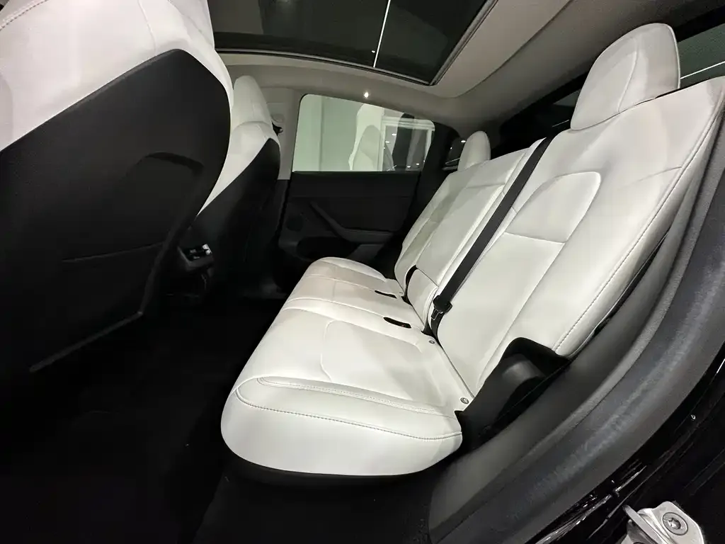 Tesla Model Y 2022 из CN, фото 3