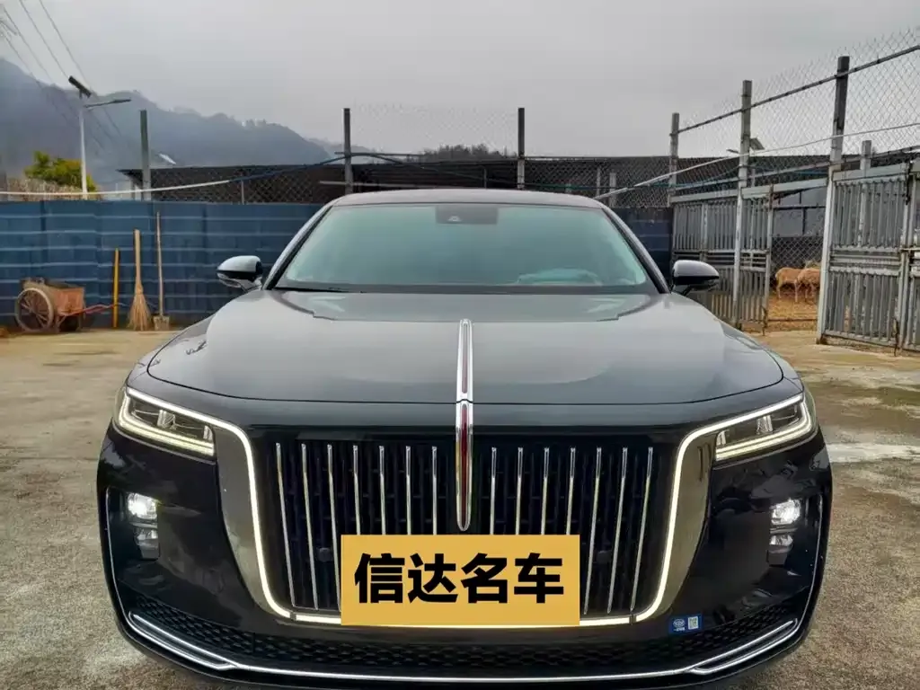 Hongqi H9 2024 из CN, фото 4