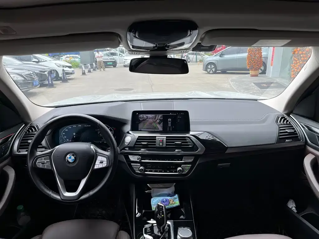 BMW X3 2021 из CN, фото 6