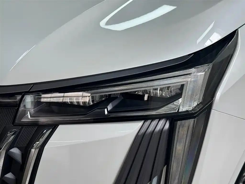 GAC Motor Trumpchi M8 — фото 6
