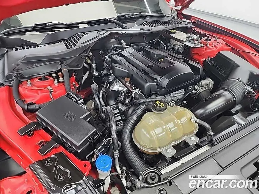 Ford Mustang 2021 из KR, фото 6