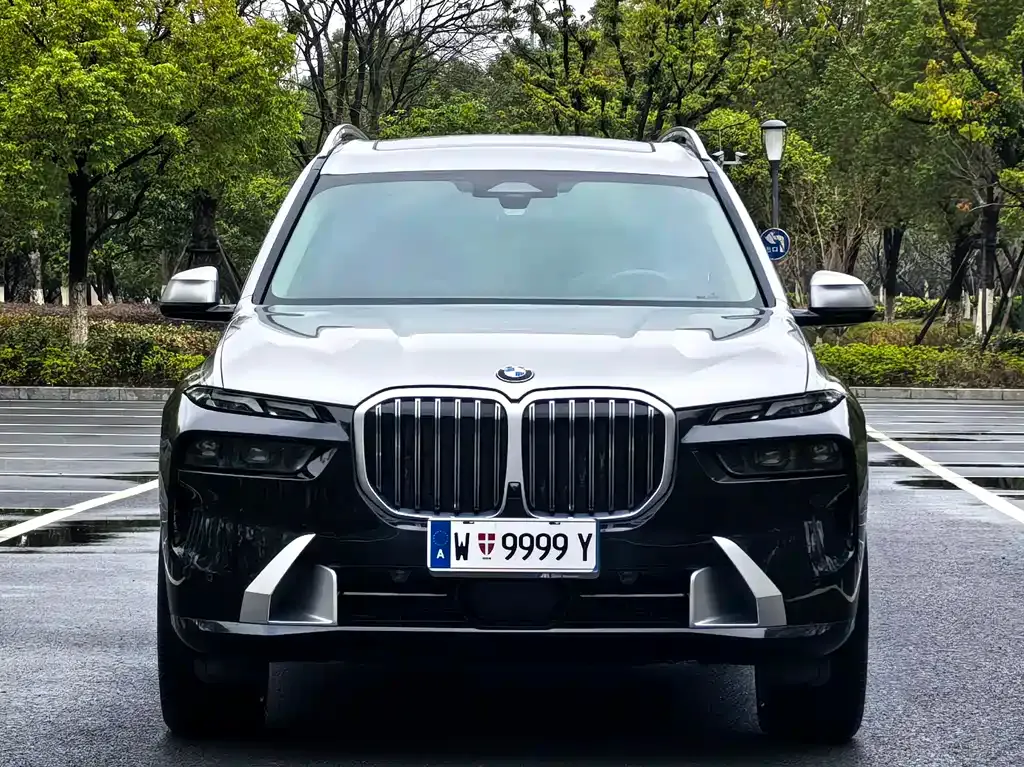 BMW X7 — фото 9