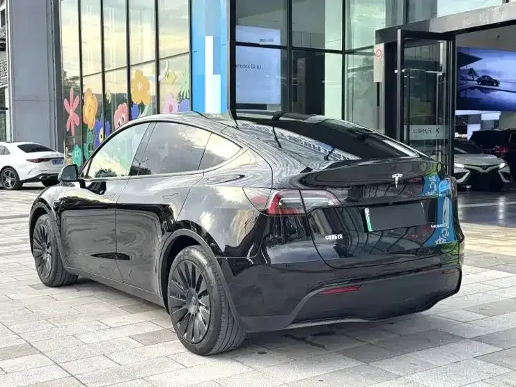 Tesla Model Y — фото 3