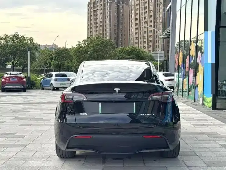 Tesla Model Y — фото 6