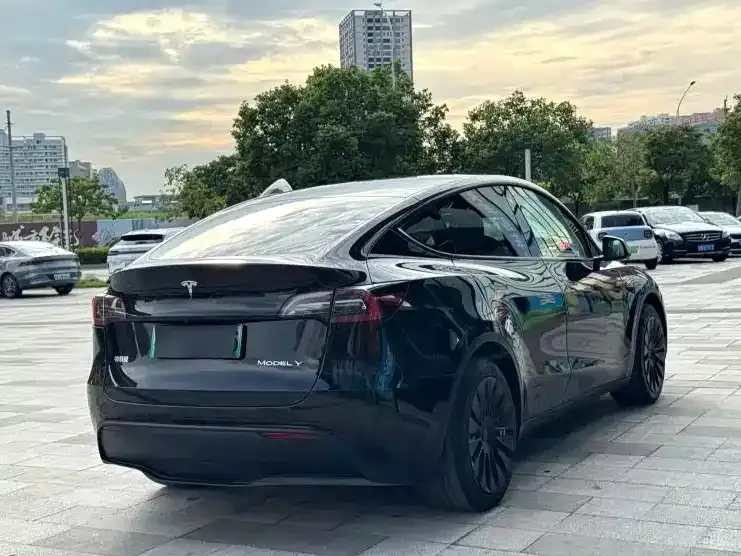 Tesla Model Y — фото 4