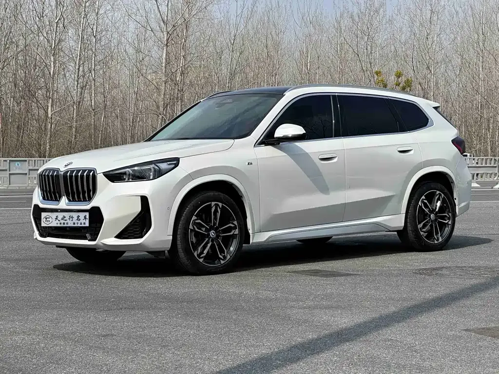 BMW X1 — фото 1