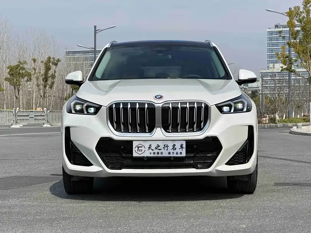 BMW X1 — фото 10
