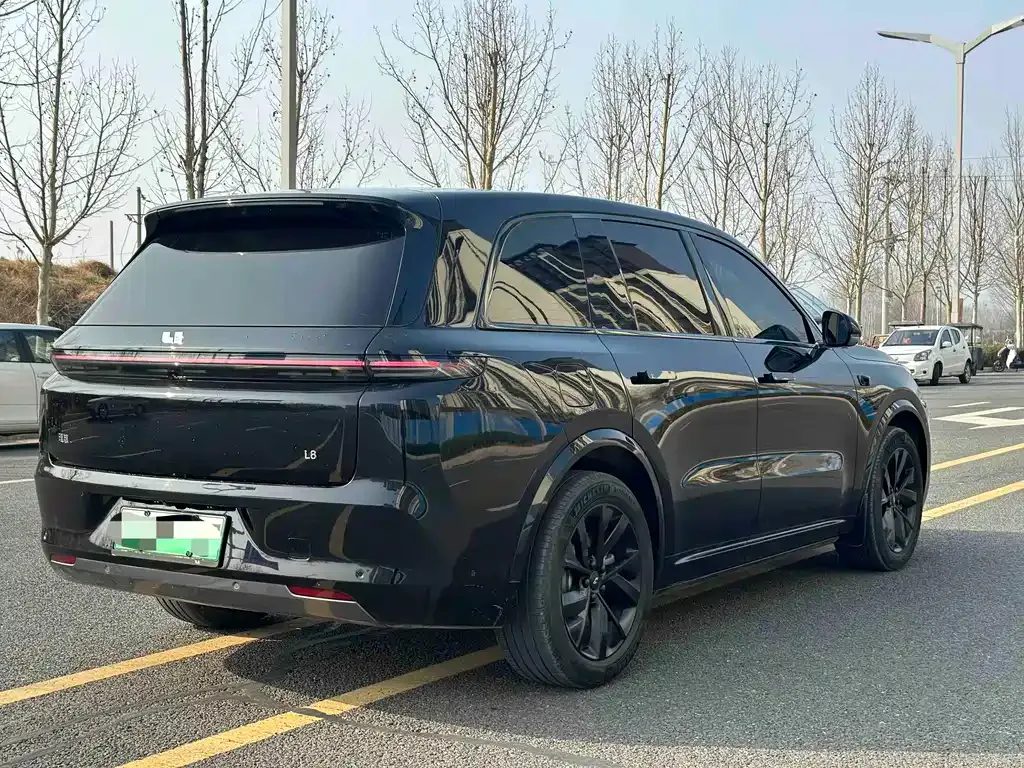 Li Auto Li L8 2024 из CN, фото 8