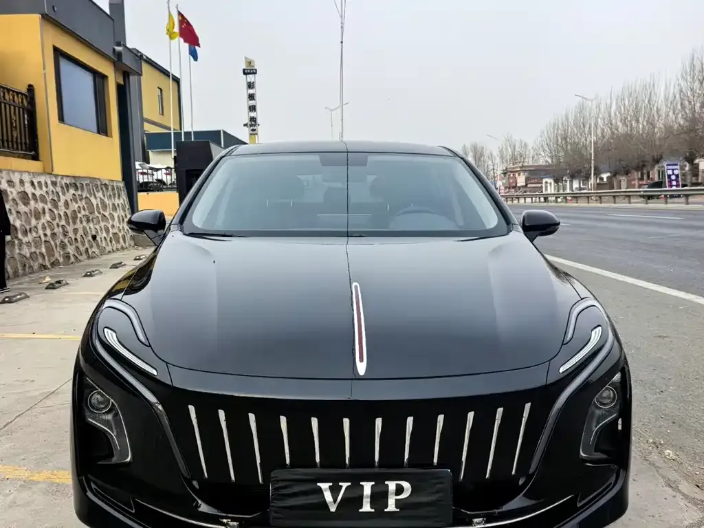 Hongqi E-QM5 — фото 2