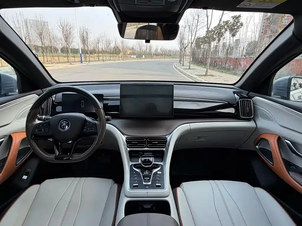 BYD Pro New Energy — фото 6
