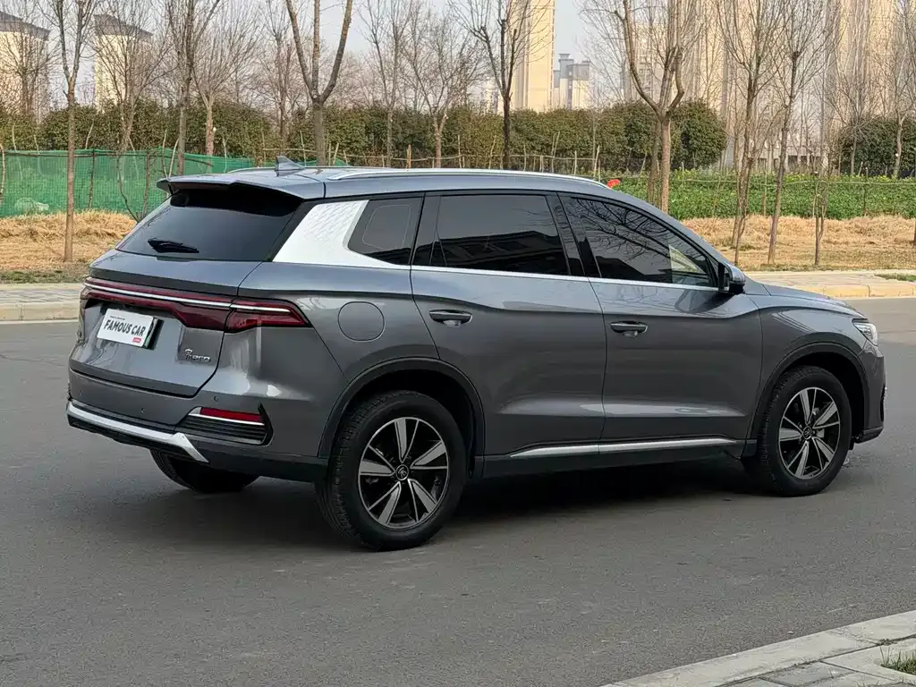 BYD Pro New Energy — фото 8