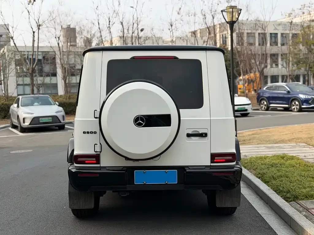 Mercedes-Benz G-Class 2021 из CN, фото 6