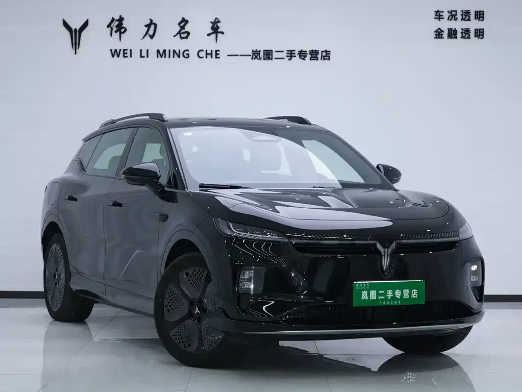 VOYAH Zhiyin 2024 из CN, фото 10