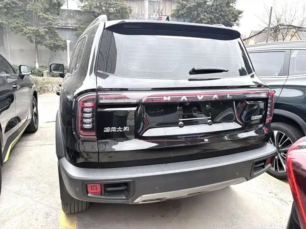 Haval Big Dog 2024 из CN, фото 8