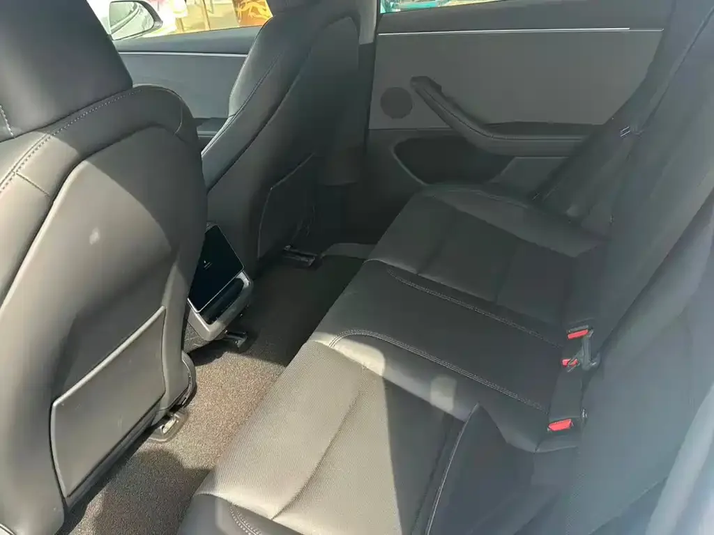 Tesla Model 3 2025 из CN, фото 3