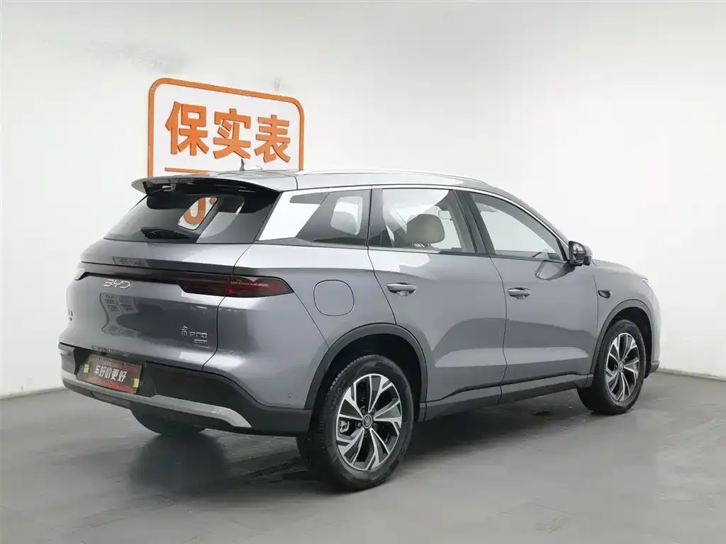 BYD Pro New Energy — фото 10