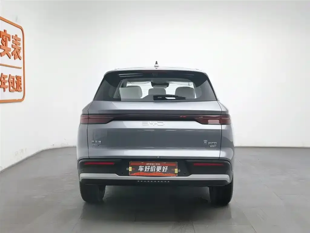 BYD Pro New Energy — фото 2