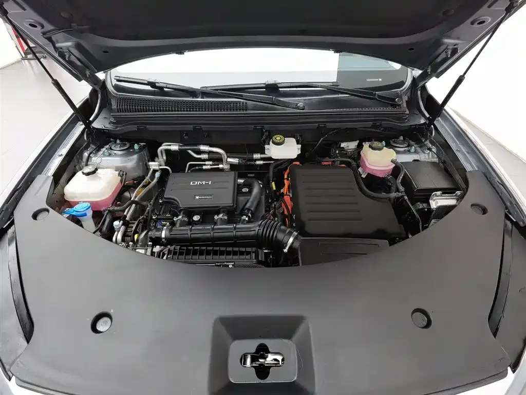 BYD Pro New Energy — фото 9