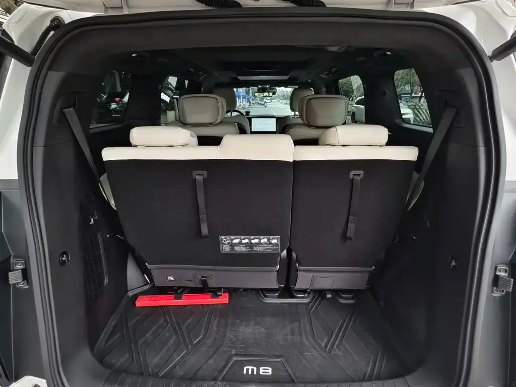 GAC Motor Trumpchi M8 2023 из CN, фото 5