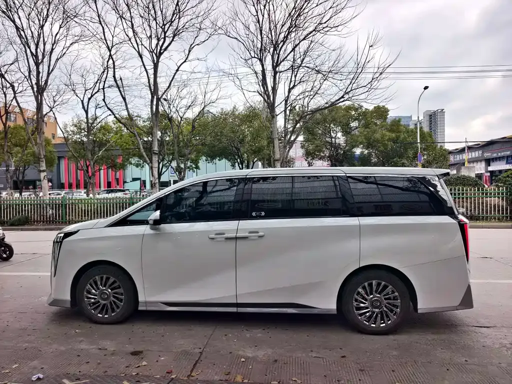 GAC Motor Trumpchi M8 2023 из CN, фото 8