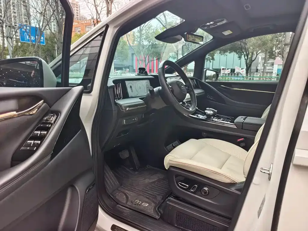 GAC Motor Trumpchi M8 2023 из CN, фото 6