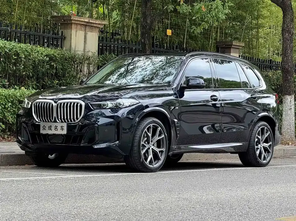 BMW X5 — фото 1