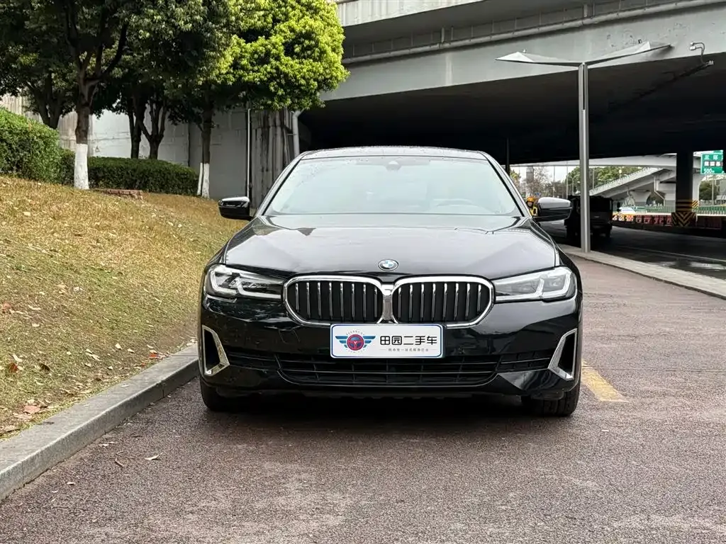 BMW 5 Series New Energy 2021 из CN, фото 7