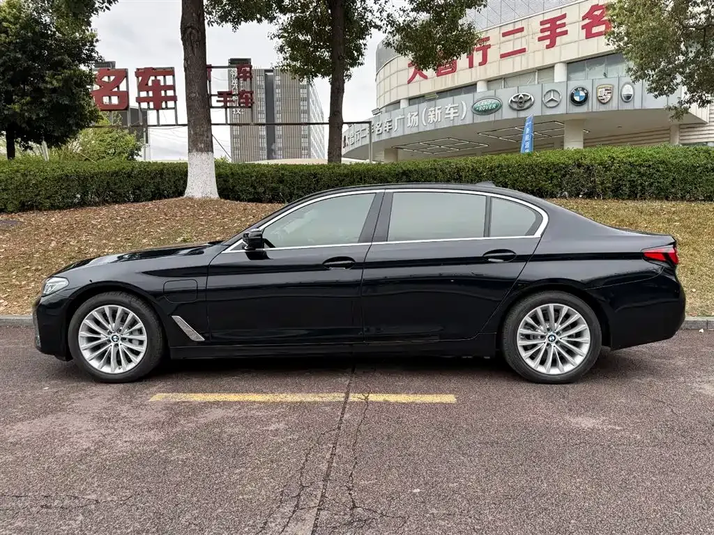 BMW 5 Series New Energy 2021 из CN, фото 6