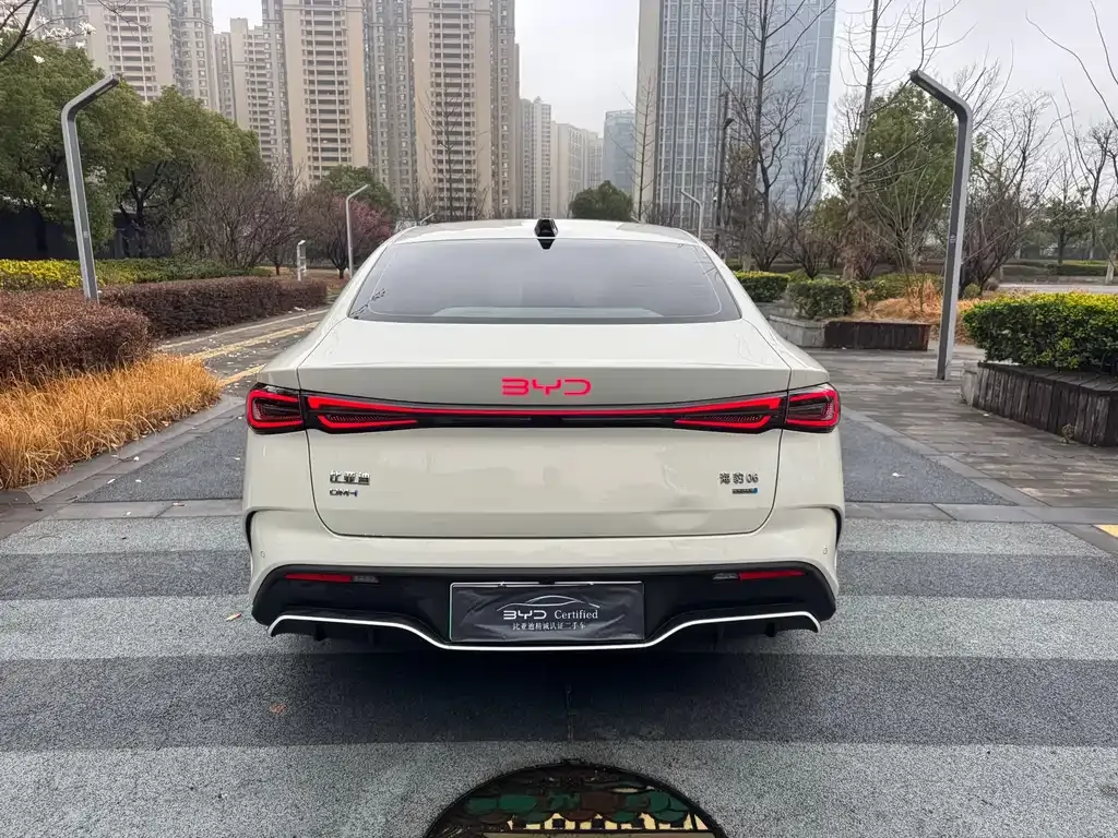 BYD Seal 06 — фото 8