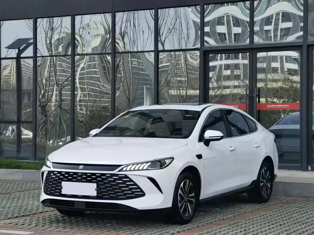 BYD Qin PLUS 2025 из CN, фото 1