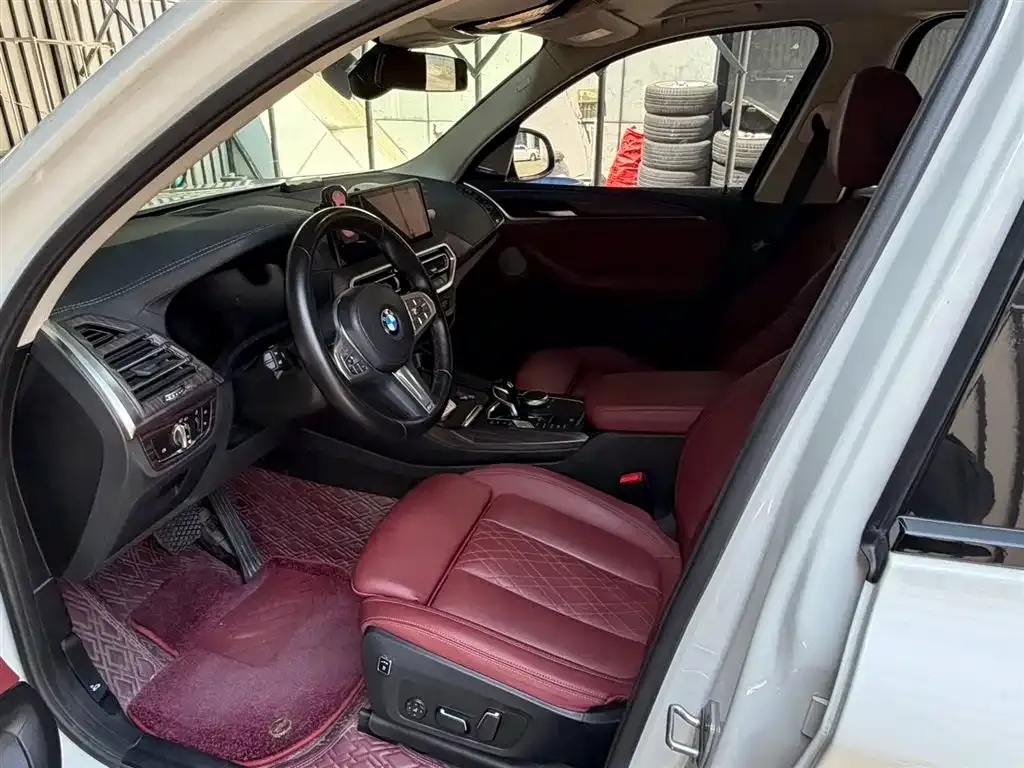 BMW X3 2023 из CN, фото 6