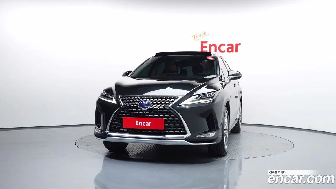 Lexus RX 2021 из KR, фото 5