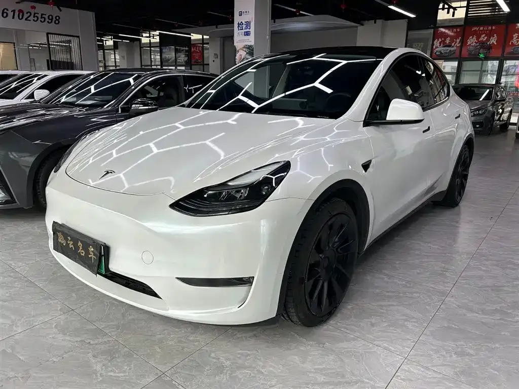 Tesla Model Y 2021 из CN, фото 1