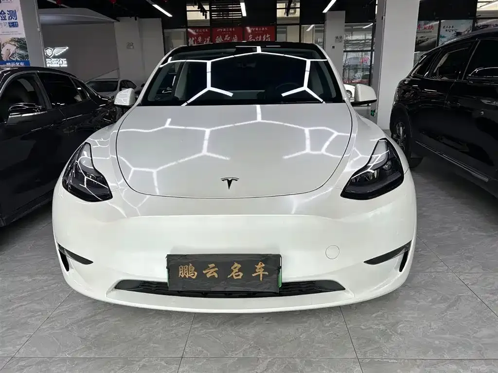 Tesla Model Y 2021 из CN, фото 8