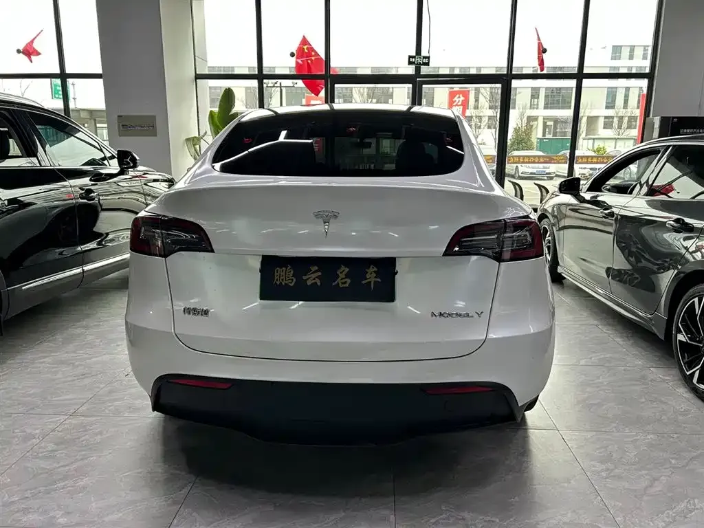 Tesla Model Y 2021 из CN, фото 3