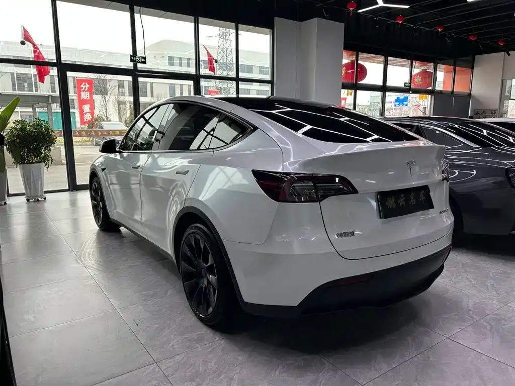 Tesla Model Y 2021 из CN, фото 9