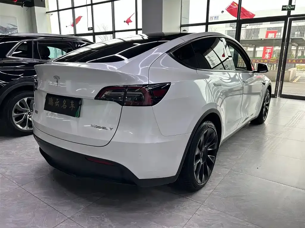 Tesla Model Y 2021 из CN, фото 4