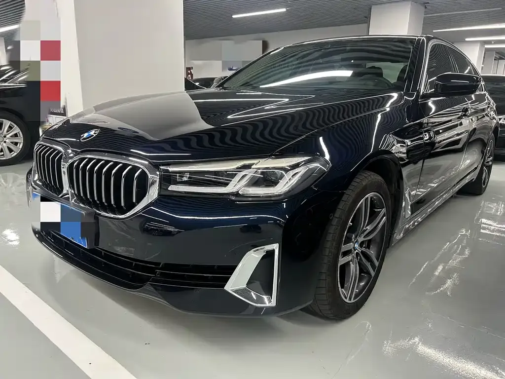 BMW 5 Series 2021 из CN, фото 1