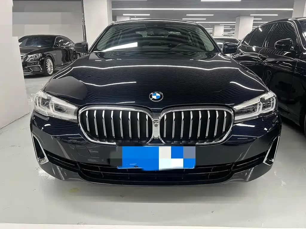 BMW 5 Series 2021 из CN, фото 9