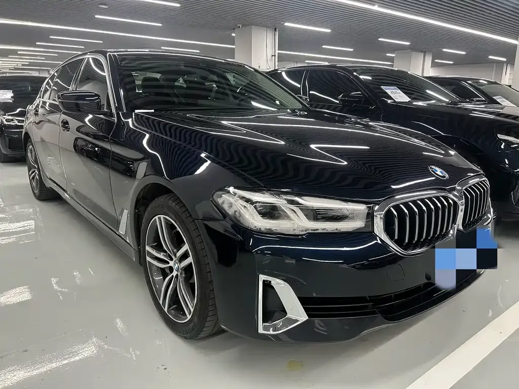 BMW 5 Series 2021 из CN, фото 10